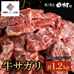 【ふるさと納税】【肉の割烹田村】牛サガリ（焼肉用）300g×4P／C 【配送不可地域：離島】 さがり...