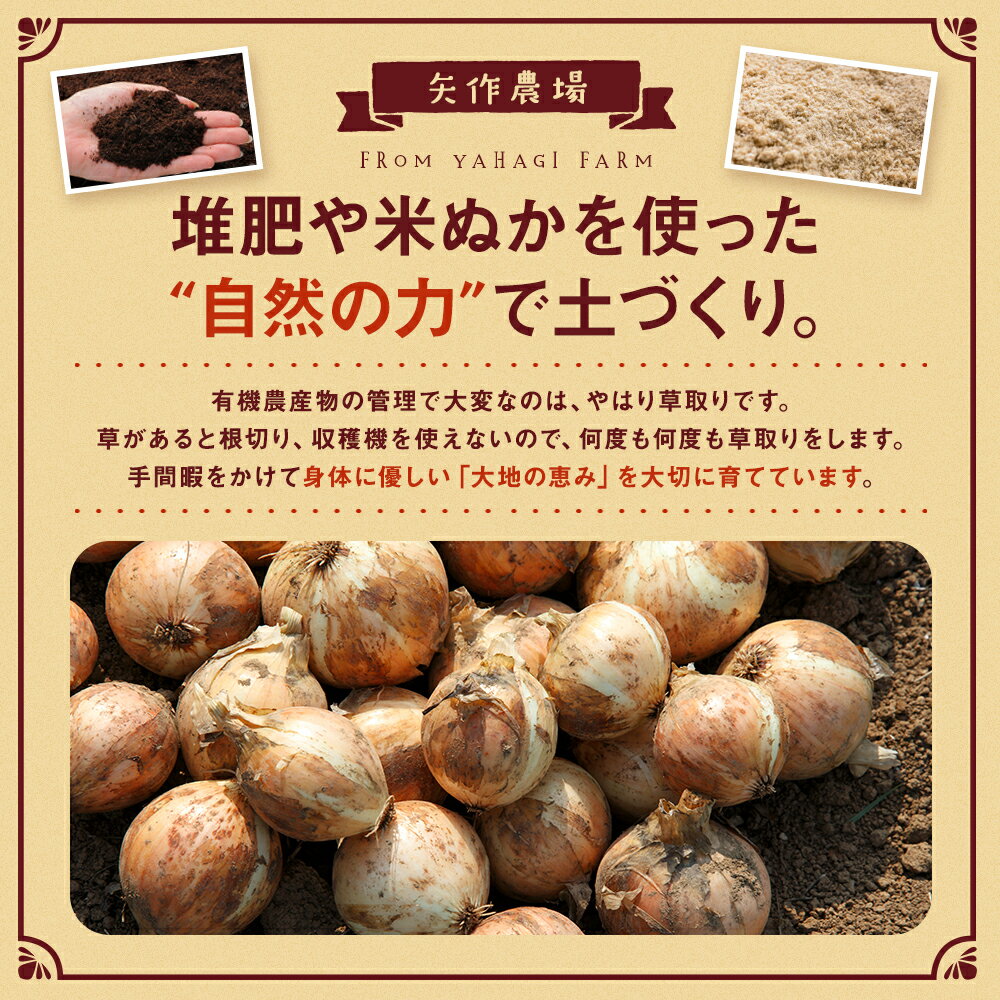 【ふるさと納税】【先行受付】令和8年産 有機栽培玉ねぎ 20kg (有)矢作農場 | 玉ねぎ たまねぎ タマネギ 玉葱 大容量 オニオン 甘い 有機栽培 国産 産地直送 カレー ハンバーグ 煮込み 炒め物 北海道 津別町 送料無料