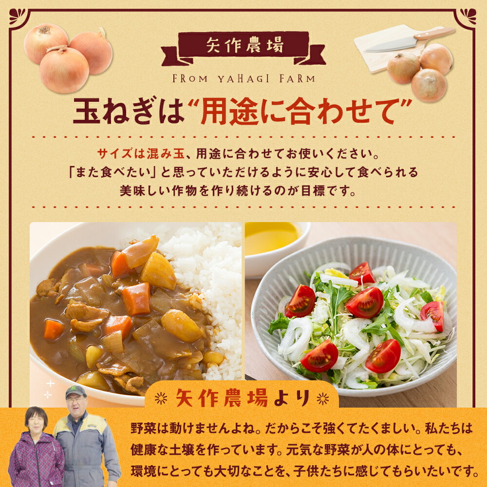【ふるさと納税】【先行受付】令和8年産 有機栽培玉ねぎ 20kg (有)矢作農場 | 玉ねぎ たまねぎ タマネギ 玉葱 大容量 オニオン 甘い 有機栽培 国産 産地直送 カレー ハンバーグ 煮込み 炒め物 北海道 津別町 送料無料