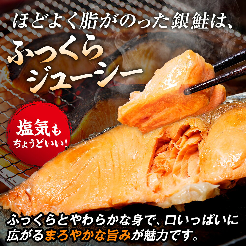 【ふるさと納税】塩銀鮭（甘口） 900g〜1.8kg | 北海道 津別町 銀鮭 塩鮭 さけ しゃけ サーモン 海鮮 切身 厚切り 魚介類 冷凍 パック おかず 和食 洋食 朝食 送料無料