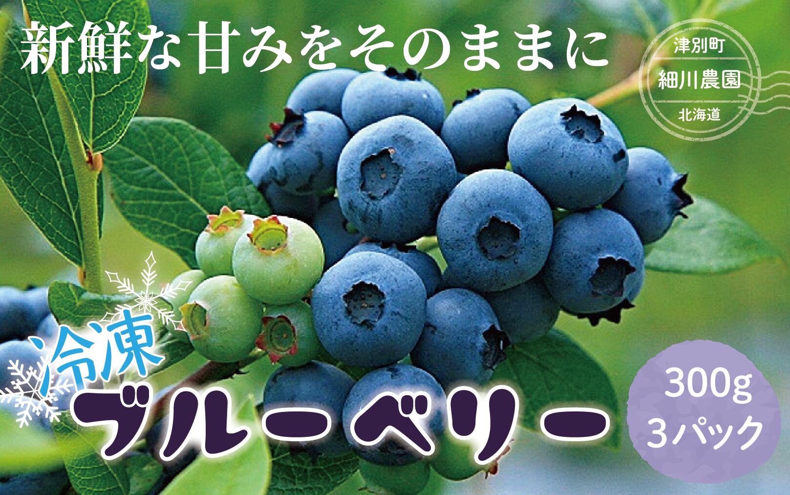 【ふるさと納税】R6年産 自然栽培 冷凍ブルーベリー 900