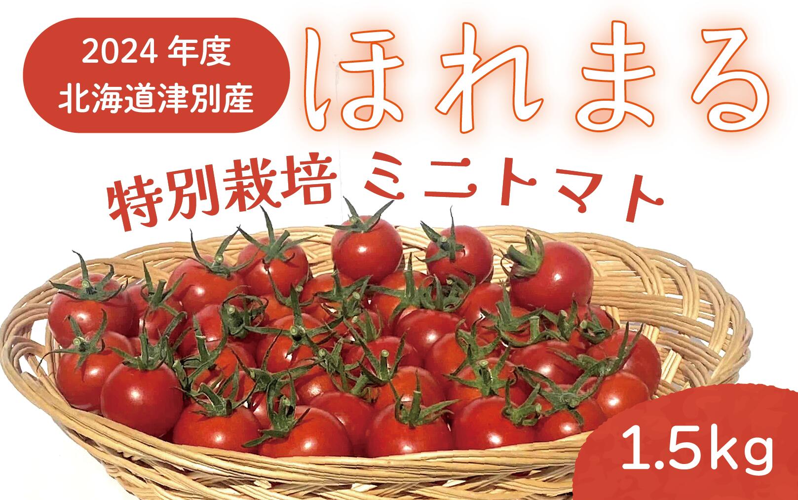 R6年産 特別栽培 ミニトマト ほれまる 1.5kg[ ふるさと納税 人気 おすすめ ランキング 野菜 やさい ベジタブル トマト とまと ミニトマト みにとまと 酸味 甘み 濃厚 ほまれる リコピン ビタミン 北海道 津別町 送料無料 ]