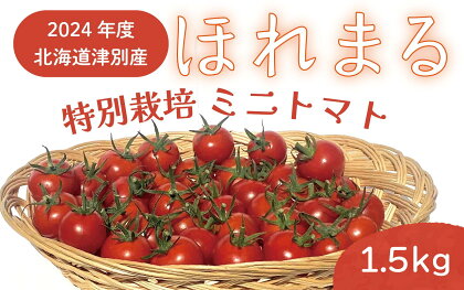 R6年産 特別栽培 ミニトマト ほれまる 1.5kg【 ふるさと納税 人気 おすすめ ランキング 野菜 やさい ベジタブル トマト とまと ミニトマト みにとまと 酸味 甘み 濃厚 ほまれる リコピン ビタミン 北海道 津別町 送料無料 】 TBTL006