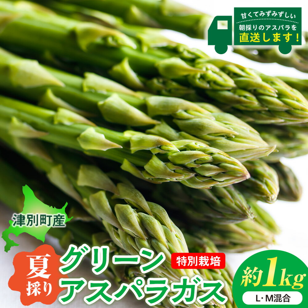令和7年産 アスパラガス(夏採り)特別栽培 約1kg 細川農園 | グリーンアスパラ グリーンアスパラガス アスパラ 野菜 夏 朝採れ 極太 サラダ 天ぷら 炒め物 旬 特産 産地直送 北海道 津別町 送料無料