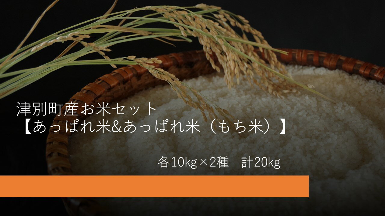 米のおすすめ返礼品検索 ふるさと納税コンシェルジュサイト ふるピタ 米のおすすめ返礼品検索 ふるさと納税コンシェルジュサイト ふるピタ