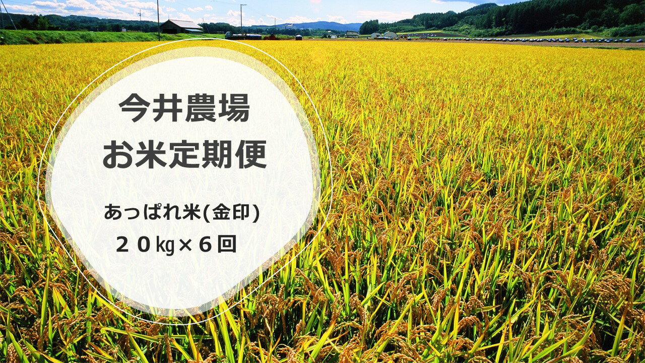 定期便 今井農場 あっぱれ米 金印 kg 6回 隔月 ふるさと納税バイブル 定期便 今井農場 あっぱれ米 金印 kg 6回 隔月 ふるさと納税バイブル