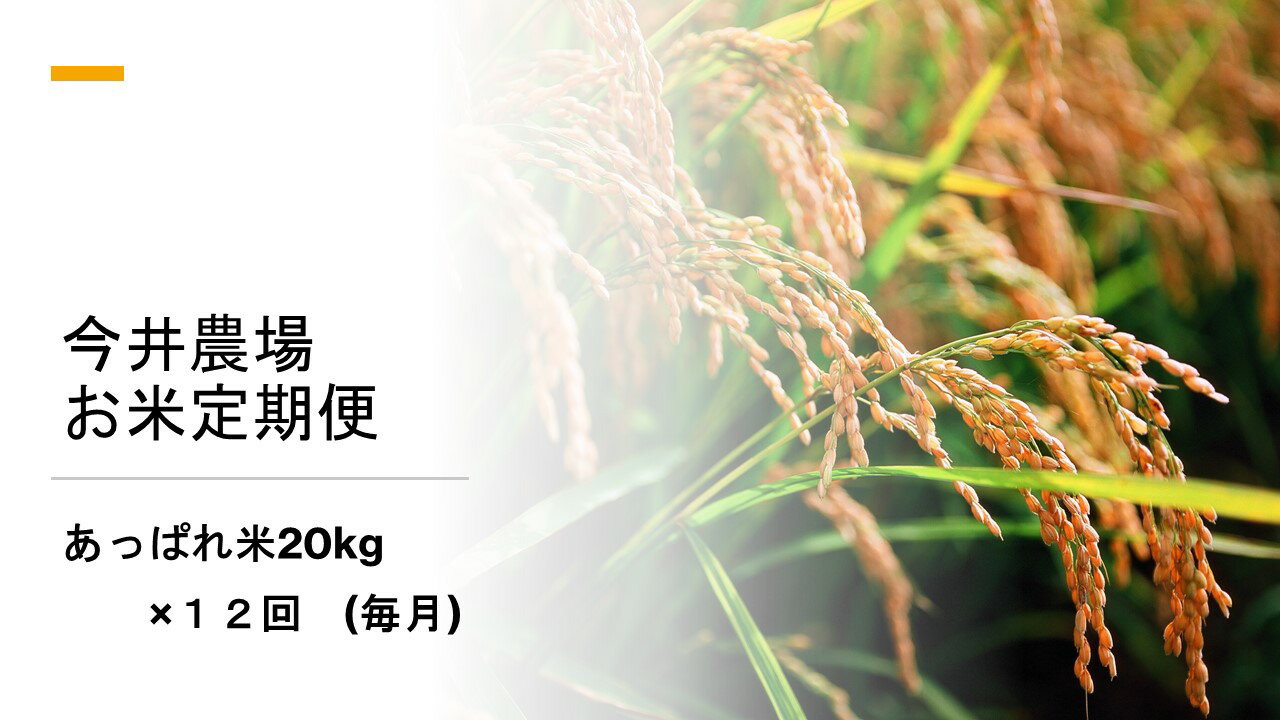 特売 ふるさと納税 定期便 今井農場 あっぱれ米kg 12回 毎月 新作モデル Klikglodok Com 特売 ふるさと納税 定期便 今井農場 あっぱれ米kg 12回 毎月 新作モデル Klikglodok Com