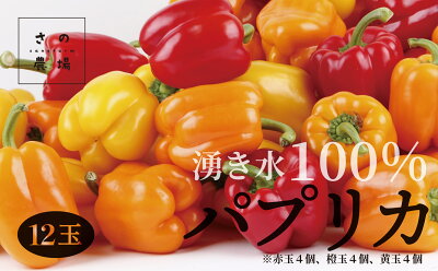 楽天ふるさと納税　【ふるさと納税】【R6年収穫分】 湧水栽培 ナツやさいのパプリカ 12玉〜15玉セット 【 ふるさと納税 人気 おすすめ ランキング 野菜 やさい パプリカ ぱぷりか 湧水栽培 肉厚 大きい 甘い セット 詰合せ 詰め合わせ 北海道 津別町 送料無料 】 TBTH002