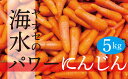 R6年産 海水パワーにんじん 5kg ヤナセ農園 【 ふるさと納税 人気 おすすめ ランキング 野菜 やさい ベジタブル にんじん ニンジン 人参 キャロット パワー にんじん 海水 こだわり栽培 栄養満点 おいしい 美味しい 北海道 津別町 送料無料 】 TBTI010