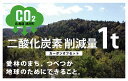 16位! 口コミ数「0件」評価「0」津別町オフセット・クレジット（J-VER） 【 ふるさと納税 人気 おすすめ ランキング 温室効果ガス カーボンオフセット CO2 オフセッ･･･ 