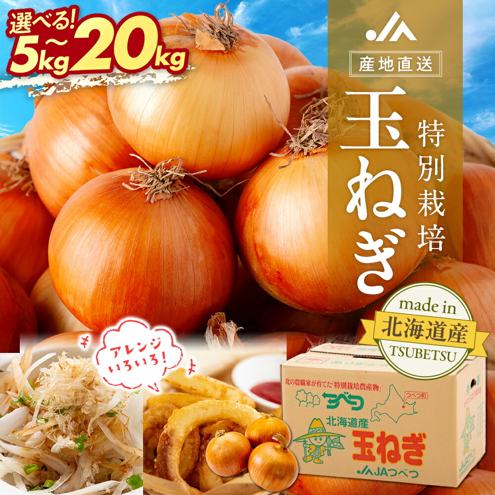 【ふるさと納税】R8年産 特別栽培玉ねぎ 20kg 【先行受付】 | 玉ねぎ たまねぎ タマネギ 玉 ...