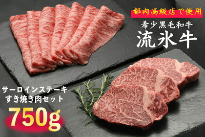 流氷牛ステーキ肉＆すき焼き肉セット（S） 750g 【 ふるさと納税 人気 おすすめ ランキング 肉 にく 牛 和牛 黒毛和牛 希少 流氷牛 ステーキ すき焼き 今半 霜降り やわらかい 旨味 おいしい セット 詰合せ 詰め合わせ 北海道 津別町 送料無料 】 TBTR005