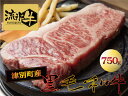 8位! 口コミ数「1件」評価「5」流氷牛ステーキ肉 750g （250g×3 サーロイン） 【 ふるさと納税 人気 おすすめ ランキング 肉 にく ニク 牛 和牛 黒毛和牛 ･･･ 