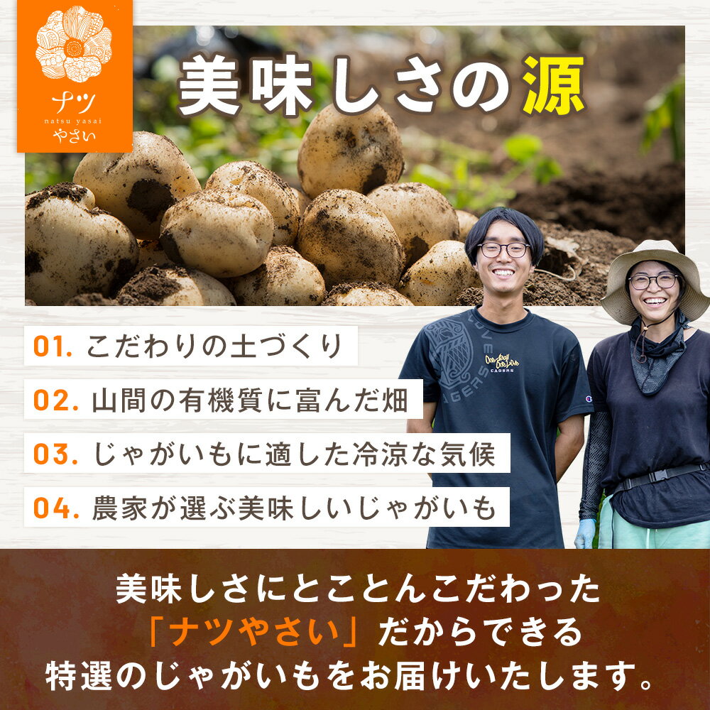 【ふるさと納税】【先行予約】秋の旬 じゃがいも2種食べ比べ 5〜10kg ピンクの八百屋〜ナツやさい〜 | じゃがいも ジャガイモ 男爵 キタアカリ 食べ比べ 旬 秋 産地直送 北海道 津別町 送料無料