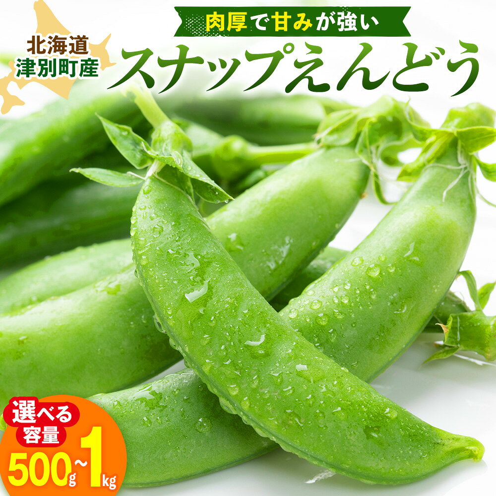 令和8年産 スナップえんどう(品種:グルメ) 500g〜1kg ピンクの八百屋〜ナツやさい〜 | スナックエンドウ 夏野菜 おつまみ お弁当 旬の野菜 産地直送 北海道 津別町 送料無料