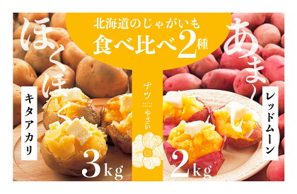 【R6年収穫分】 ナツやさい 秋の旬 じゃがいも2種食べ比べ 5kg 【 ふるさと納税 人気 おすすめ ランキング 野菜 やさい じゃがいも ジャガイモ じゃが芋 秋 旬 食べ比べ 詰合せ 詰め合わせ セット 北海道 津別町 送料無料 】 TBTH004