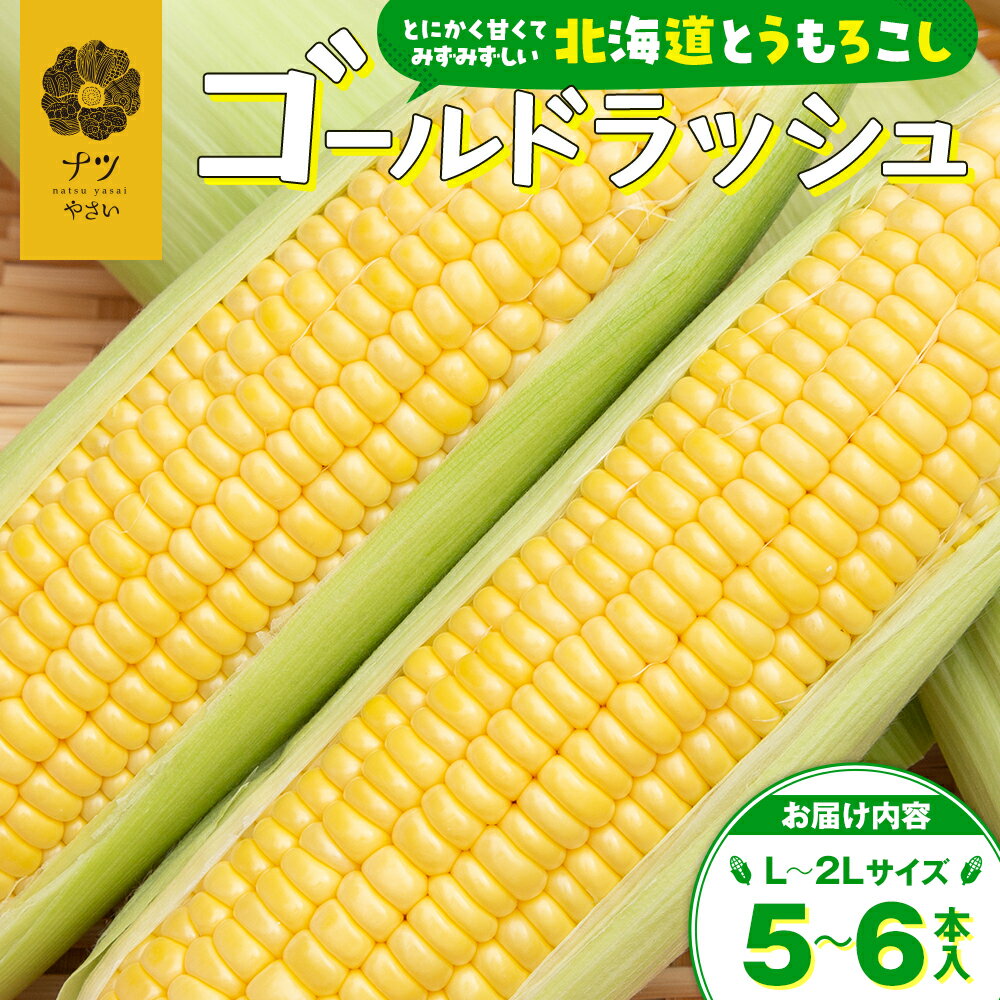 【ふるさと納税】【令和7年早期受付】8月の旬 トウモロコシ 5〜6本 ピンクの八百屋〜ナツやさい〜 | とうもろこし トウモロコシ ゴールドラッシュ 旬 新鮮 野菜 夏 甘い 産地直送 北海道 津別町 送料無料