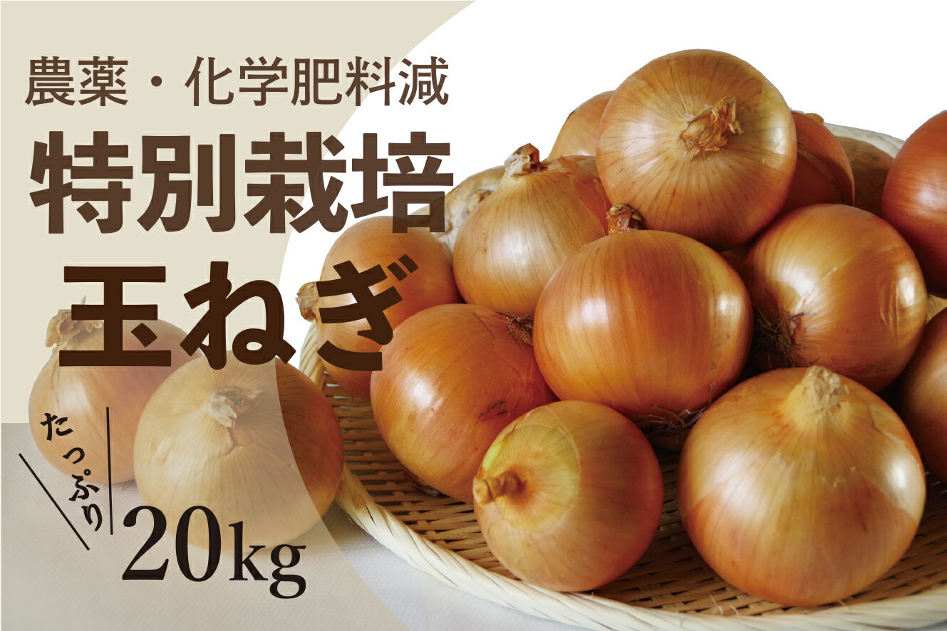 玉ねぎ 20kg 特別栽培/010-13054-b01B