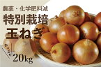 【ふるさと納税】玉ねぎ　20kg　特別栽培/010-13054-b01B