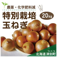 【ふるさと納税】JAつべつ特別栽培玉ねぎ20kg