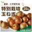 【ふるさと納税】R5年産 玉ねぎ 20kg 特別栽培/010-13054-b01B 10,000円