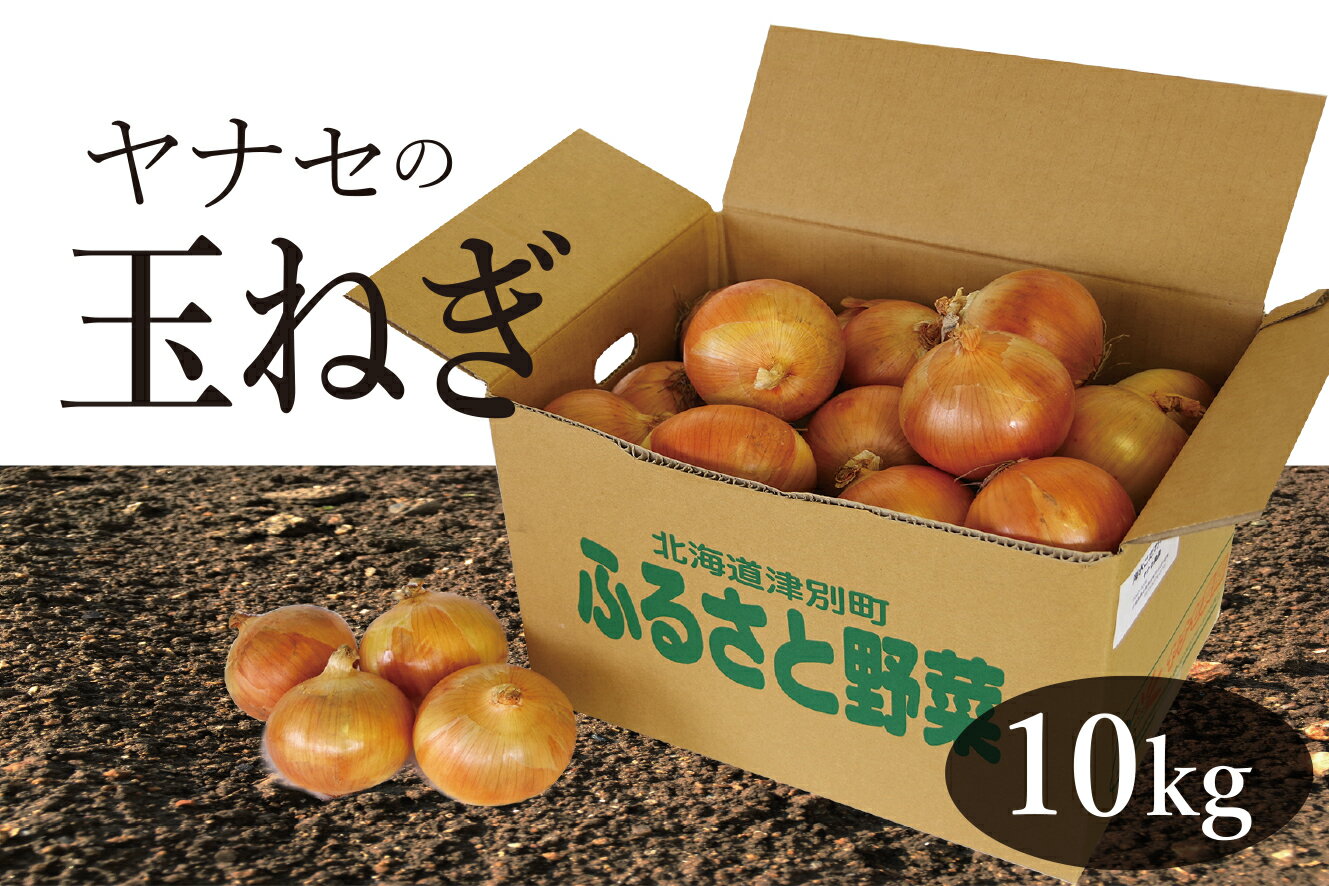 【ふるさと納税】R6年産 玉ねぎ 約10kg ヤナセ農園 【 ふるさと納税 人気 おすすめ ランキング 野菜 やさい 玉ねぎ たまねぎ タマネギ 玉葱 万能 便利 炒め物 煮物 おいしい 美味しい 北海道 津別町 送料無料 】 TBTI003