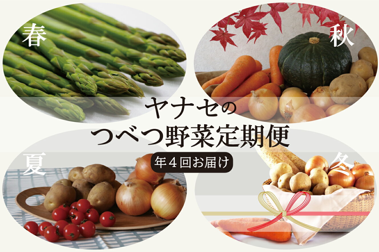 つべつ野菜定期便 (年4回お届け) [ ふるさと納税 人気 おすすめ ランキング 野菜 やさい ベジタブル 旬 旬の野菜 定期便 セット 詰合せ 詰め合わせ おいしい 美味しい 北海道 津別町 送料無料 ]