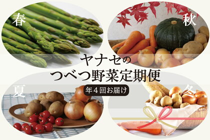 つべつ野菜定期便 （年4回お届け） 【 ふるさと納税 人気 おすすめ ランキング 野菜 やさい ベジタブル 旬 旬の野菜 定期便 セット 詰合せ 詰め合わせ おいしい 美味しい 北海道 津別町 送料無料 】 TBTI016