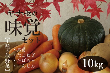 R6年産 味覚セット 約10kg ヤナセ農園 【 ふるさと納税 人気 おすすめ ランキング 野菜 やさい ベジタブル 玉ねぎ たまねぎ 玉葱 じゃがいも ジャガイモ じゃが芋 かぼちゃ カボチャ 北海道野菜 セット 詰合せ 詰め合わせ 北海道 津別町 送料無料 】 TBTI014