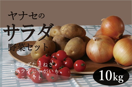 R6年産 サラダ野菜セット 約10kg ヤナセ農園 【 ふるさと納税 人気 おすすめ ランキング 野菜 やさい ベジタブル サラダ トマト とまと 玉ねぎ たまねぎ タマネギ サラダ野菜 詰合せ 詰め合わせ セット 北海道 津別町 送料無料 】 TBTI011