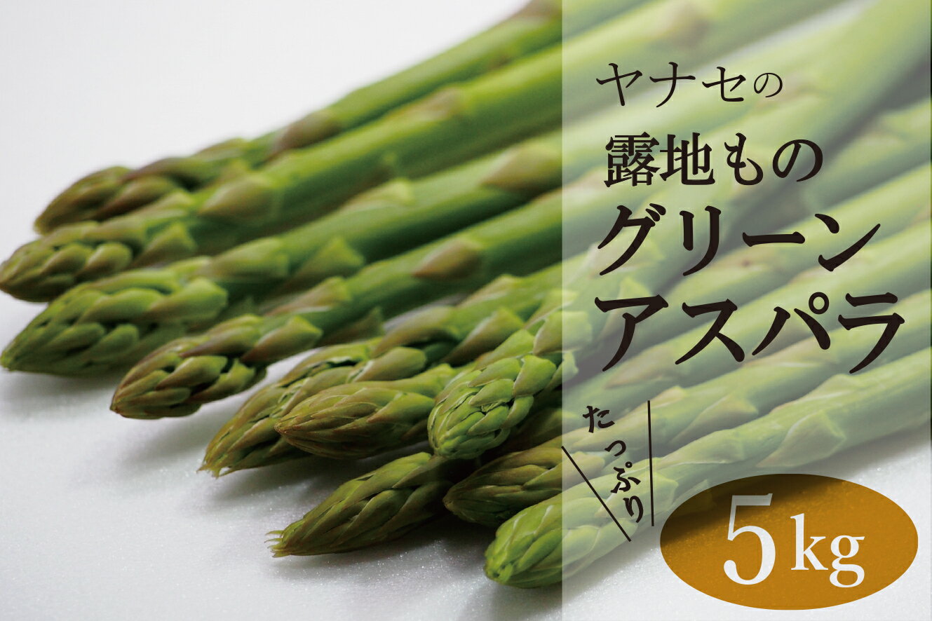 数量は多 ふるさと納税 柳瀬産商 グリーンアスパラ 5kg 数量は多 Meetype Com 数量は多 ふるさと納税 柳瀬産商 グリーンアスパラ 5kg 数量は多 Meetype Com