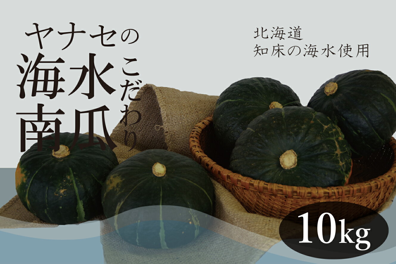 39位! 口コミ数「0件」評価「0」R6年産 南瓜 10kg 知床海水ミネラル栽培 ヤナセ農園 【 ふるさと納税 人気 おすすめ ランキング 野菜 やさい ベジタブル かぼちゃ･･･ 