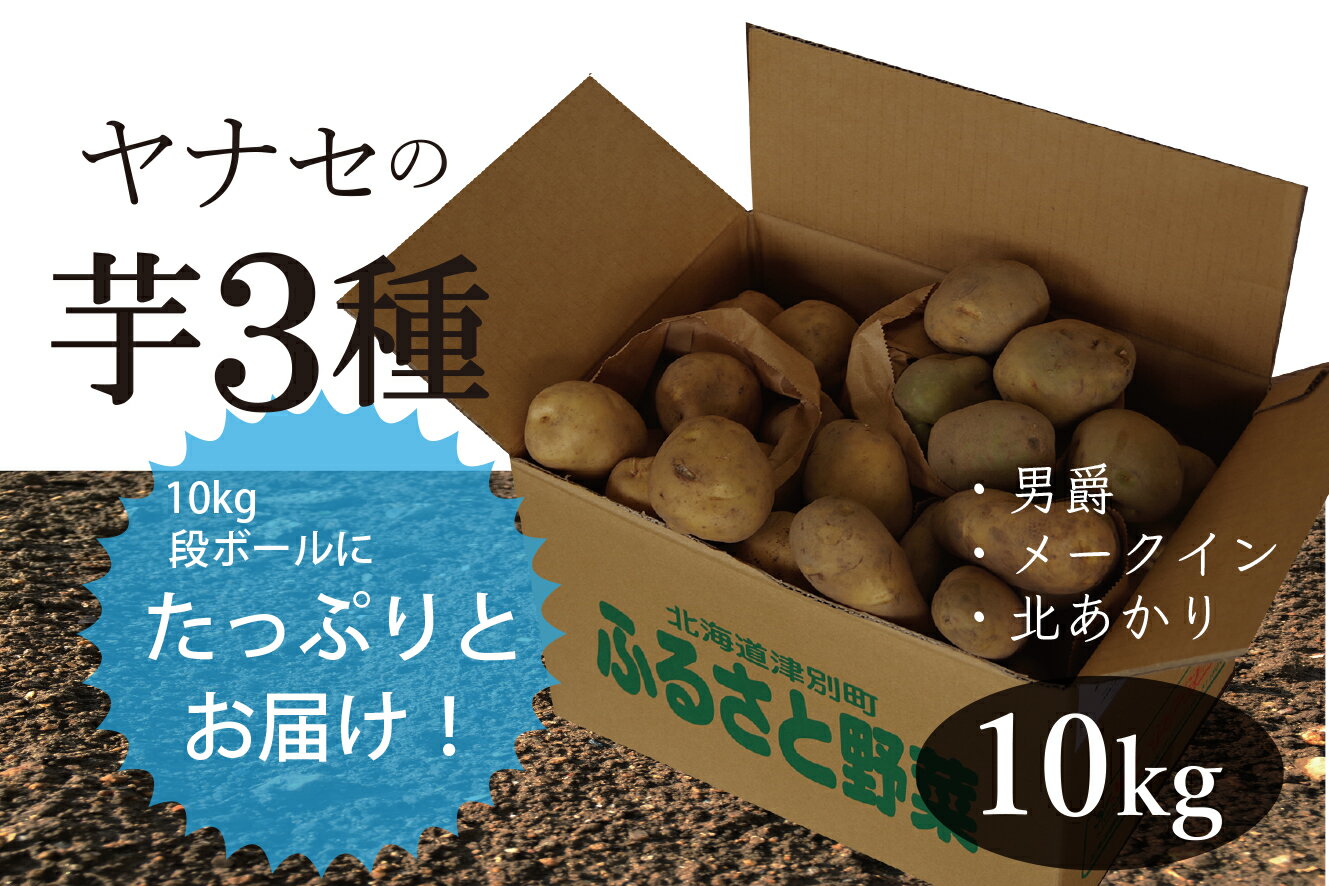 28位! 口コミ数「0件」評価「0」R6年産 じゃがいも3種類 約10kg（男爵・北あかり・メークイン） ヤナセ農園 【 ふるさと納税 人気 おすすめ ランキング 野菜 やさい･･･ 