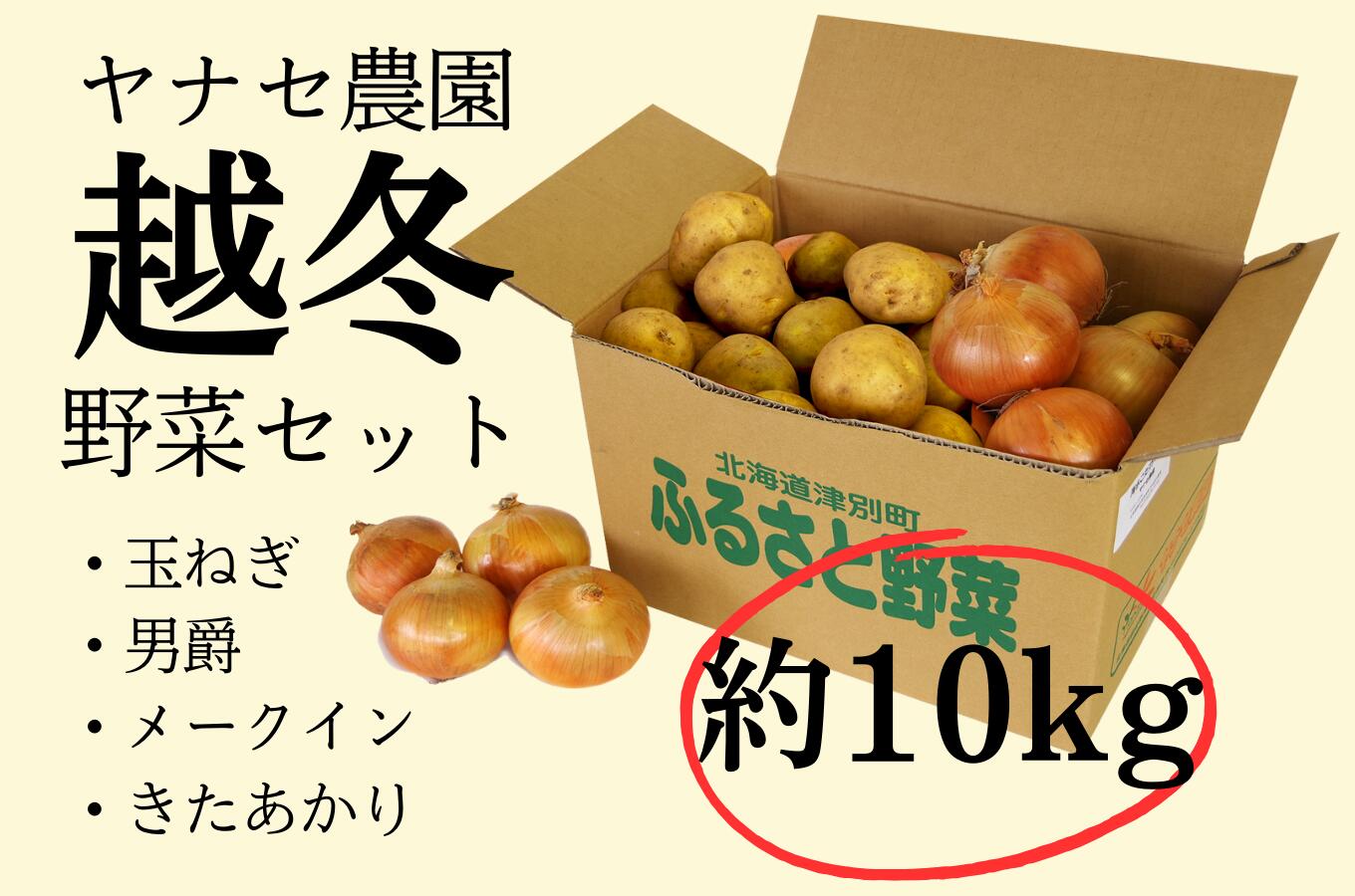 【ふるさと納税】越冬野菜セット 約10kg ヤナセ農園 【 ふるさと納税 人気 おすすめ ランキング 野菜 やさい ベジタブル 越冬野菜 越冬 玉ねぎ たまねぎ 玉葱 じゃがいも ジャガイモ じゃが芋 セット 詰合せ 詰め合わせ おいしい 美味しい 北海道 津別町 送料無料 】 TBTI015