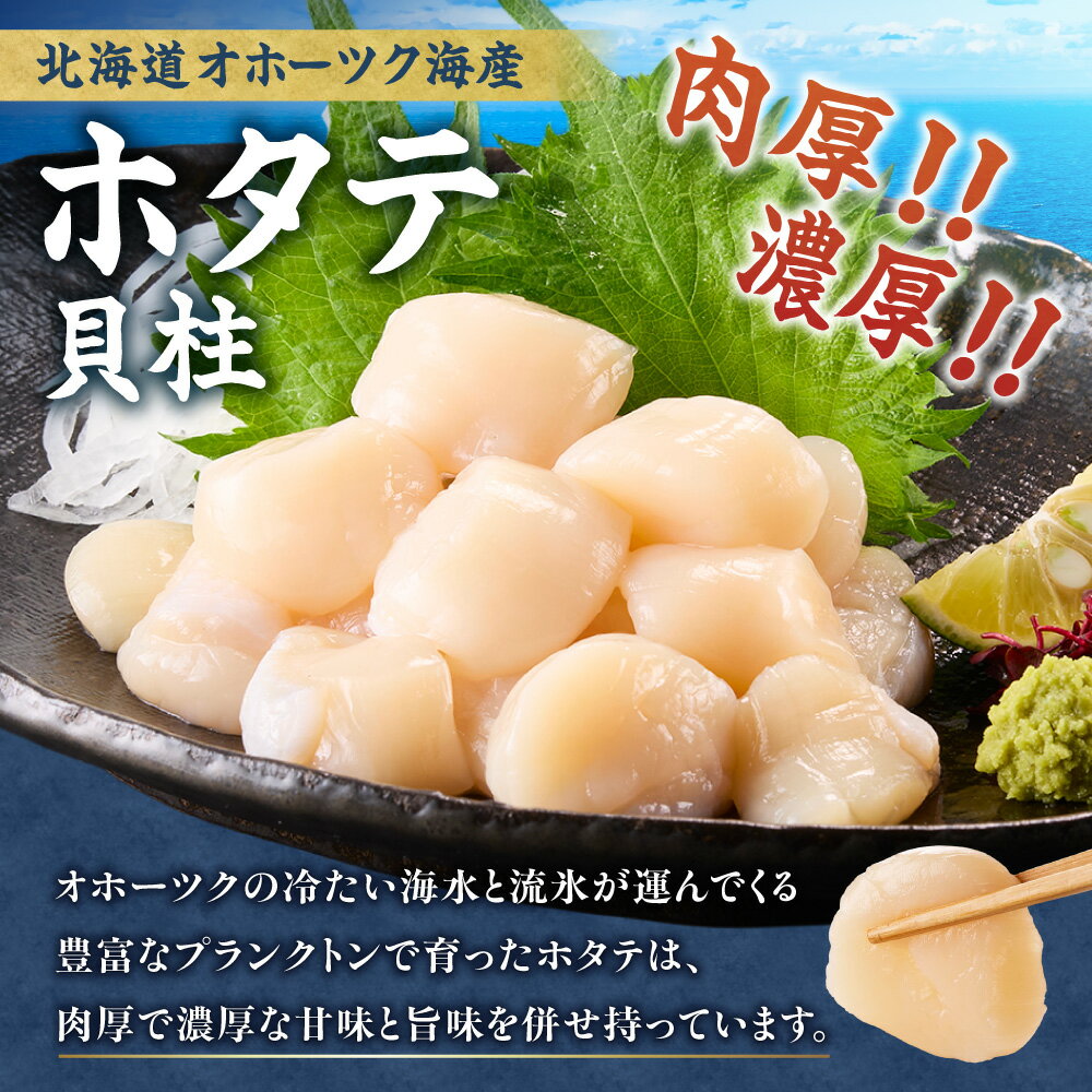 【ふるさと納税】【訳あり】北海道オホーツク海産ホタテ玉冷 (500g/1kg)【無添加】【配送不可地域：離島・沖縄県】