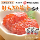 【ふるさと納税】北海道知床産 鮭