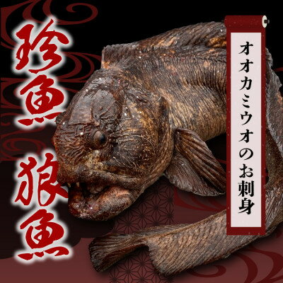 ＜数量限定＞知床斜里産の珍魚「オオカミウオ」!話題作りにいかがですか?【凍眠にて冷凍しています】【配送不可地域：離島】【1410131】