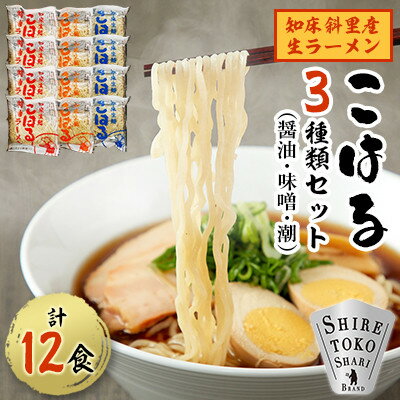 【ふるさと納税】知床斜里産 生ラーメン12食(醤油・味噌・潮