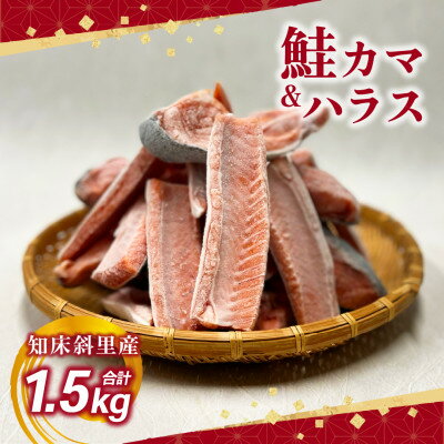 [先行予約][数量限定] 知床斜里産 天然秋鮭カマ&ハラス 1.5kg 船上活締め[配送不可地域:離島]