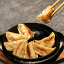 【ふるさと納税】【北海道産】冷凍 豚肉 餃子 60個 知床斜里産「サチク麦王」使用【配送不可地域:離島・沖縄県】【1516615】