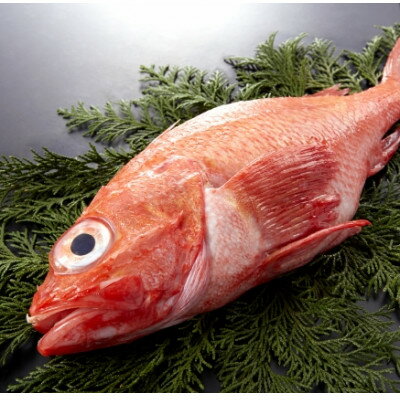 [姿煮用・冷凍] 北海道産 キンキ(めんめ)1尾 300g前後 下処理済み 北海道斜里町産[配送不可地域:離島・沖縄県]