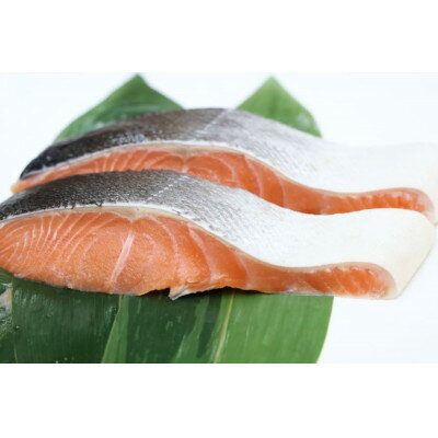 活〆 時知らず 天然 鮭切身 中塩仕込 10切(2切160g×5パック) 800g 知床斜里産[配送不可地域:離島・沖縄県]