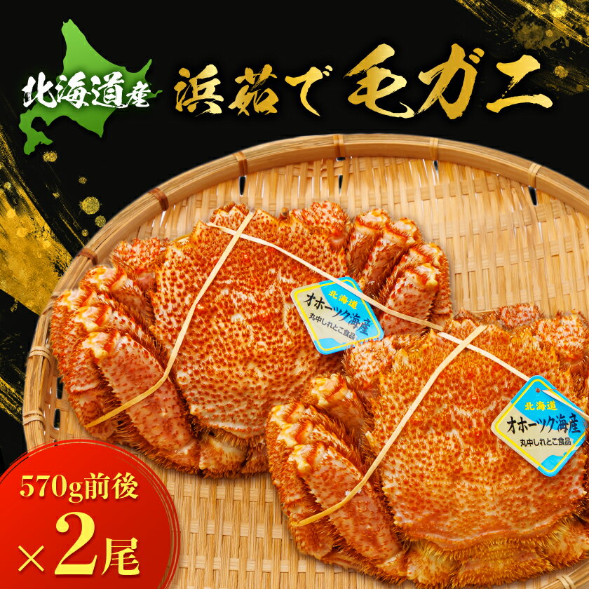 【ふるさと納税】北海道産 浜茹で毛ガニ 570g前後×2尾_ 毛ガニ 毛蟹 カニ 蟹 海鮮 茹でガニ ゆでがに 浜茹で オホーツク海産 急速冷凍 冷凍 北海道 斜里町【配送不可地域：離島・沖縄県】【1664344】