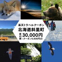 【ふるさと納税】北海道斜里町の対象施設で使える楽天トラベルクーポン　寄付額30,000円