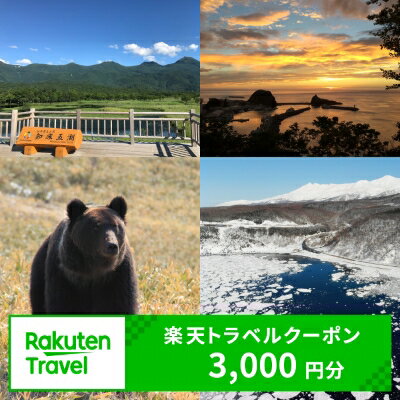 【ふるさと納税】北海道斜里町の対象施設で使える楽天トラベルクーポン　寄付額10,000円