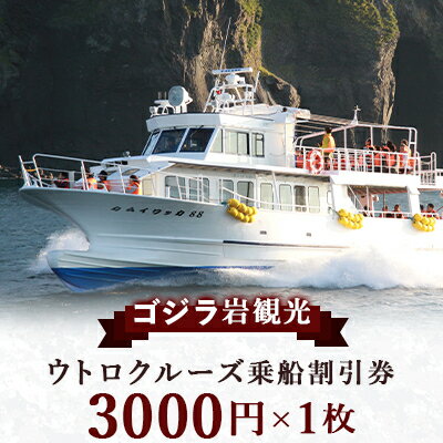 ゴジラ岩観光【ウトロ港発着クルーズ乗船代金3000円割引券】【1214314】