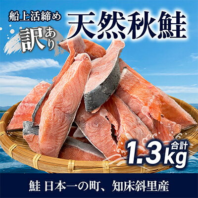 【先行予約】【訳あり】知床斜里産 天然秋鮭の切り身 約1.3kg 船上活締め【配送不可地域：離島】【1430538】