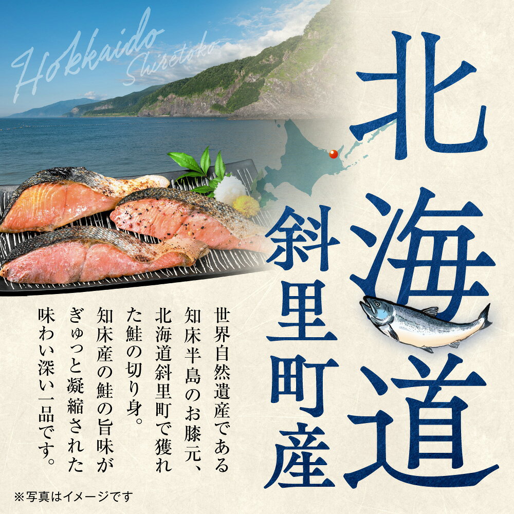 【ふるさと納税】【北海道斜里町産】 塩鮭 切り身 山漬 2切れ入り 【選べる容量】 3パック 5パック 丸あ野尻正武商店 山漬製法 鮭 サケ さけ 魚介 魚 シーフード 小分け 個包装 冷凍 お弁当 北海道 斜里町