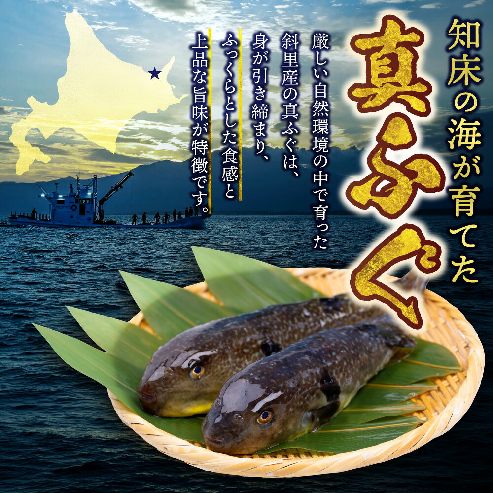 【ふるさと納税】【先行予約】知床斜里産 真フグ 鍋用カットセット 【選べる容量】350g 700g 下処理済み 3枚下ろし 骨なし身 中骨付き ふぐ鍋 ふぐちり 冷凍 オホーツク海 水揚げ 高級魚 海産 海鮮 北海道 斜里町