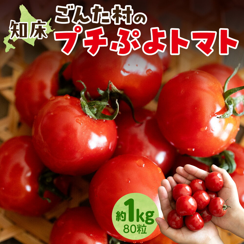 知床斜里町産 プチぷよ トマト 1kg 知床ごんた村 ミニトマト tomato 野菜 新鮮 採れたて 皮がやわらかい ジューシー 甘い 北海道産 知床 北海道 斜里町